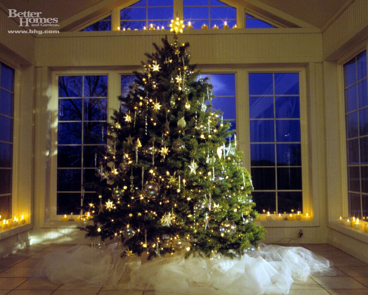 beautiful christmas tree