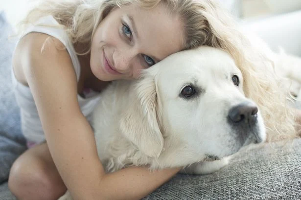 Are Dog Owners Healthier People?