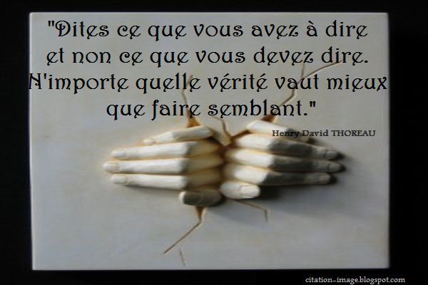 Une citation conseil vie