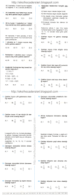 6.sınıf matematik olasılık testi