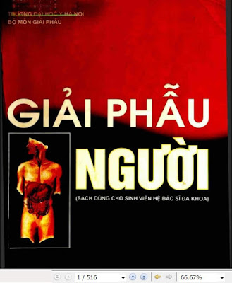 Giáo trình Giải phẫu - ĐH Y Dược Huế