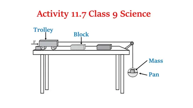 Activity 11.7 Class 9 Science Chapter 11Work and Energy