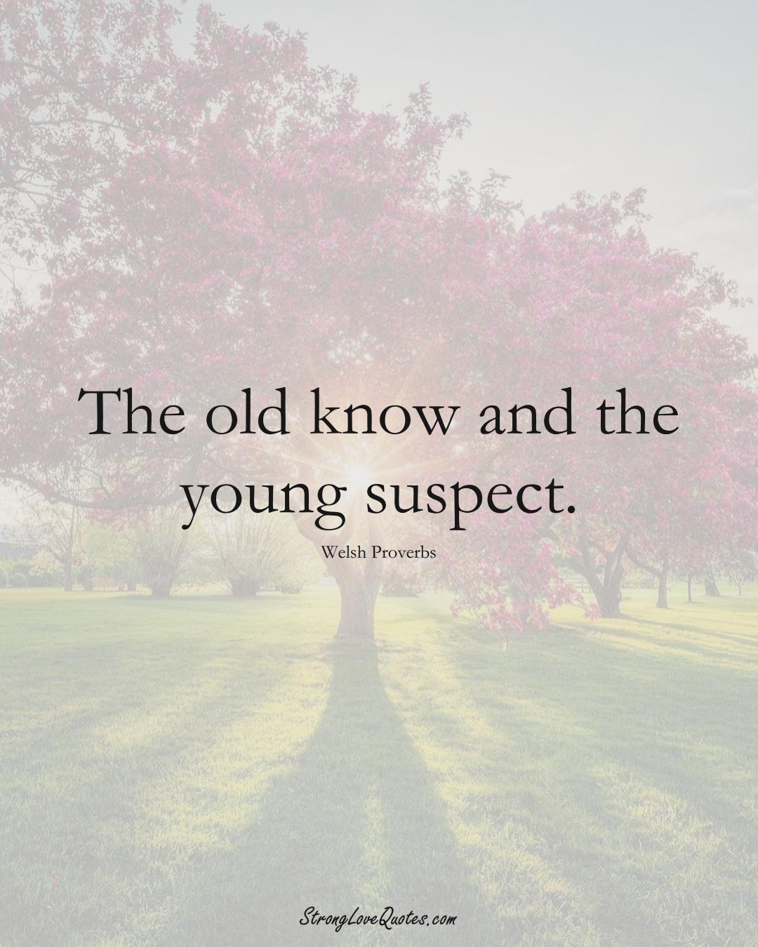 The old know and the young suspect. (Welsh Sayings);  #EuropeanSayings