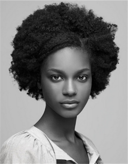 Afro Hair Style