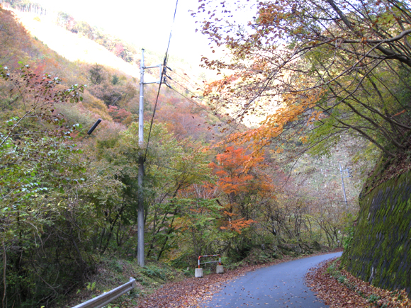 浦山の紅葉1