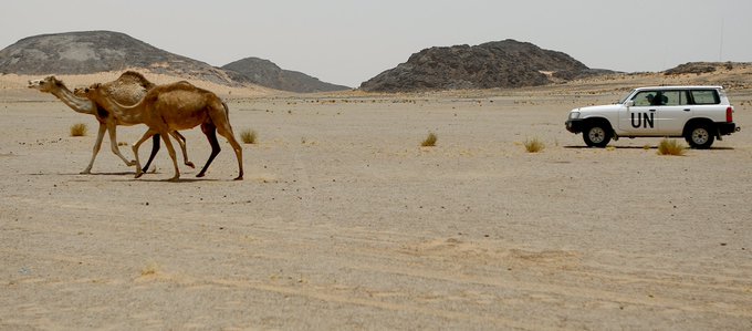 بلجيكا تدعم مساعي الأمين العام لتعيين مبعوثه الشخصي إلى الصحراء الغربية في أقرب وقت.  