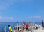 Proyek Pelabuhan Siluman Di Desa Samo Kab. Halmahera Selatan 
