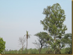 DSCN3326