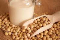 cause Why Soy Proteins Are correct For Diet