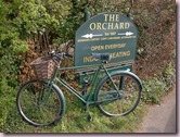 the-orchard