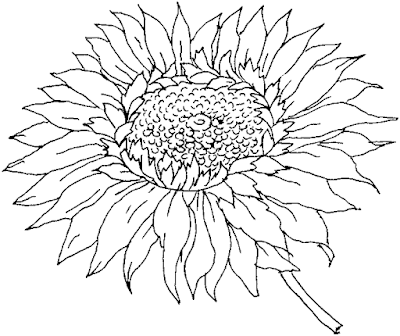 Flower Coloring Sheets on Soccer  Flower Coloring Pages