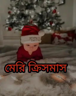 60 টি সেরা বড়দিনের শুভেচ্ছা বার্তা, ছবি, স্ট্যাটাস 2023 - Merry Christmas Wishes, Images In Bengali