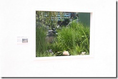 IMG_8953 (1)