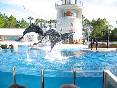 Orlando Florida Seaworld