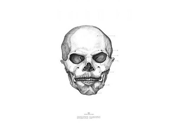 Irish artist Istvan Laszlo has made a series of drawings of skulls of famous