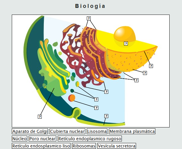 celula vegetal y animal. celula animal y vegetal.