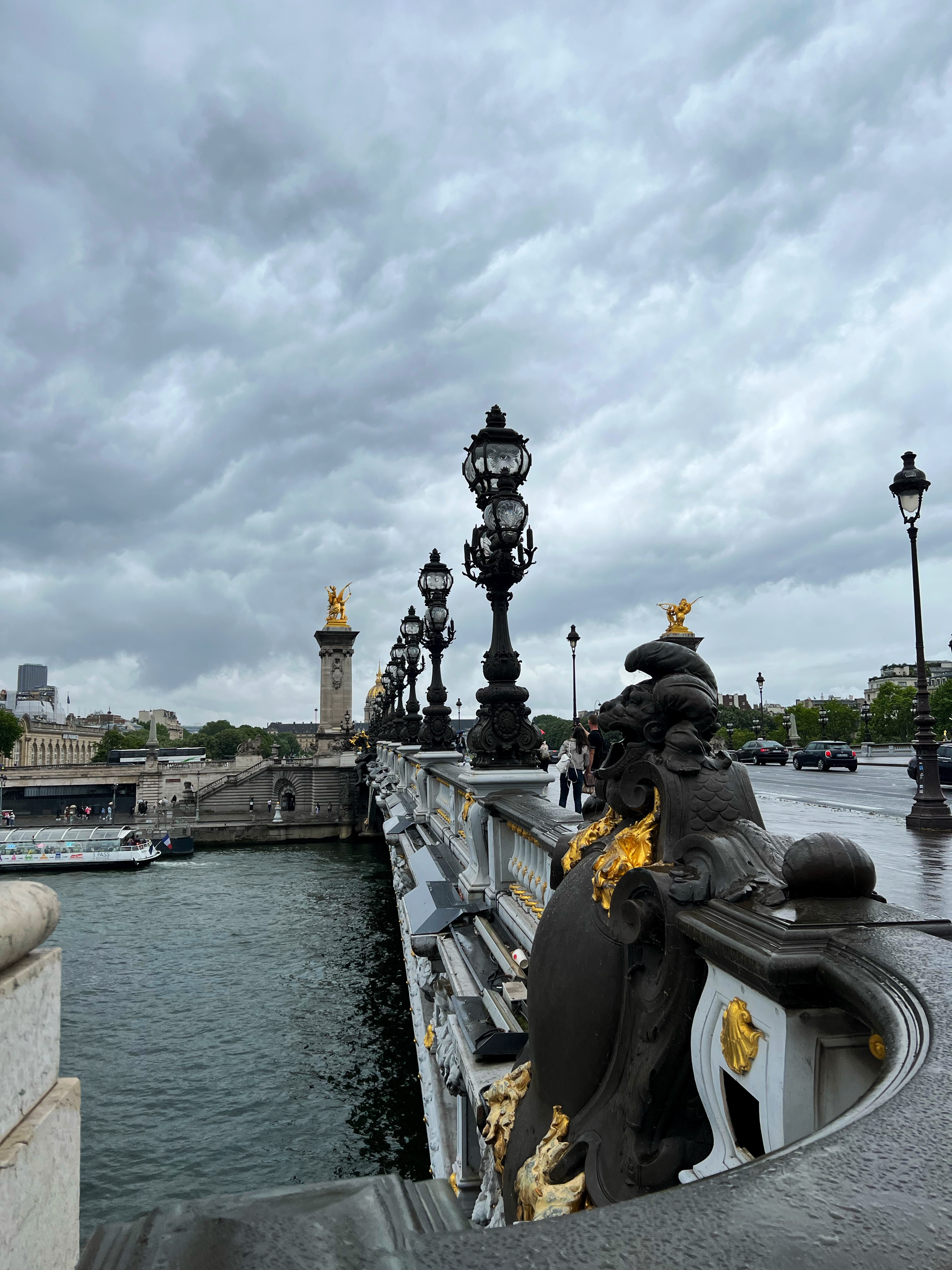 Adrienne Nguyen_Pont Alexandre 3 Bridge_Famous Bridge in Paris_Seine River