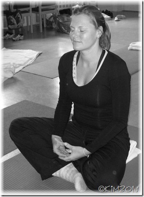 yogi