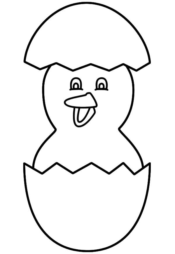 animals coloring page