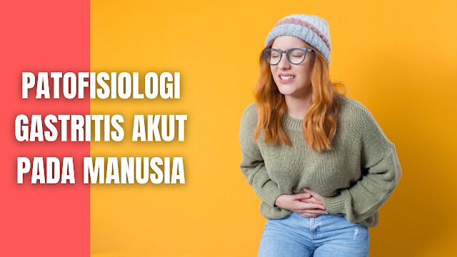 Patofisiologi Gastritis Akut Pada Manusia Gastritis Akut dapat disebabkan oleh karena stress, zat kimia obat-obatan dan alkohol, makanan yang pedas, panas maupun asam. Pada pasien yang mengalami strees akan terjadi perangsangan saraf simpatis NV (Nervus Vagus), yang akan meningkatkan produksi asam klorida (HCl) didalam lambung akan menimbulkan rasa mual, muntah dan anoreksia.  Zat kimia maupun makanan yang merangsang akan menyebabkan sel epitel kolumner, yang berfungsi untuk menghasilkan mukus mengurangi produksinya. Sedangkan mukus itu fungsinya untuk memproteksi mukosa lambung agar tidak ikut tercerna respon mukosa lambung karena penurunan sekresi mukus bervariasi diantaranya vasodilitasi sel mukosa gaster.   Lapisan mukosa gaster terdapat enzim yang memproduksi asam klorida atau HCl, terutama daerah fundus.Vasodilitasi mukosa gaster akan menyebabkan produksi HCl meningkat. Anoreksia juga dapat menyebabkan rasa nyeri, rasa nyeri ini ditimbulkan oleh karena kontak HCl dengan mukosa gaster. Respon mukosa lambung akibat penurunan sekresi mukus dapat berupa pengelupasan.   Pengelupasan sel mukosa gaster akan mengakibatkan erosi memicu timbulnya pendarahan. Pendarahan yang terjadi dapat mengancam hidup penderita, namun dapat juga berhenti sendiri karena proses regenerasi, sehingga erosi menghilang dalam waktu 24-48 jam setelah pendarahan.    Nah itu dia bahasan dari Gastritis Akut pada manusia, melalui bahasan di atas bisa diketahui mengenai Gastritis Akut pada manusia. Mungkin hanya itu yang bisa disampaikan di dalam artikel ini, mohon maaf bila terjadi kesalahan di dalam penulisan, dan terimakasih telah membaca artikel ini."God Bless and Protect Us"