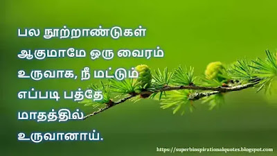 Love Quotes in Tamil 426