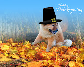 #8 Happy Thanksgiving Wallpaper