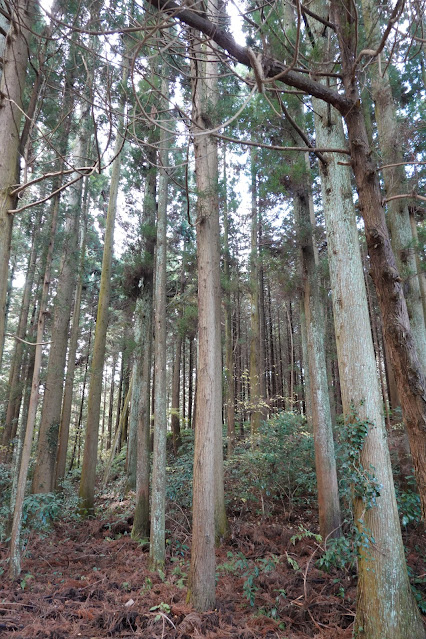 鳥取県西伯郡南部町池野