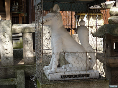 白山神社光徳稲荷神社白狐