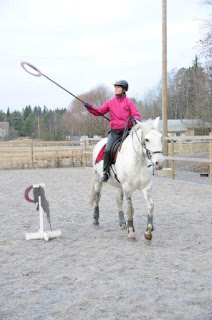 working equitation, riitta reissaa, katarina albrecht