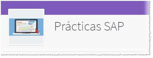 Prácticas SAP - Consultoria-SAP