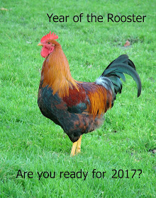 Year of the Rooster by Victoria M. Johnson