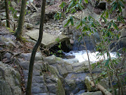 Inlet to the very old looking concrete flume. This is also a view downstream . (flumeinlet)