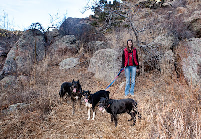 hiker and dogs