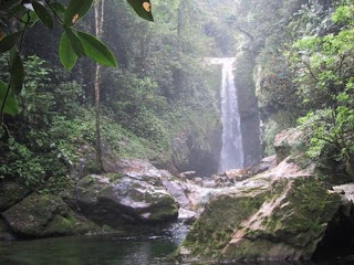 Parque Nacional Pico Bonito