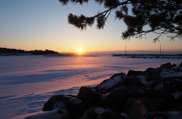 lingonberryhouse, sunset, auringonlasku, talvi, winter