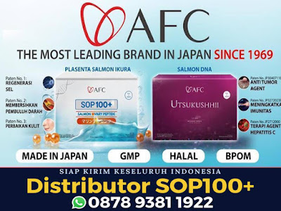 Obat Alami Untuk Penyakit Kanker Paru Paru Utsukushhii,