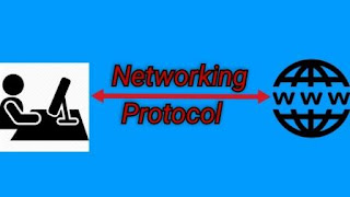 Networking protocols 