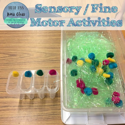 Sensory/ Fine Motor Activities in Special Education