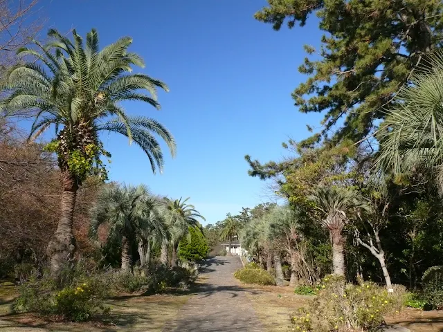 真鶴岬　お林展望公園