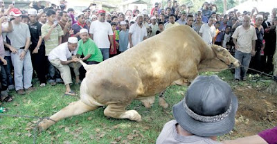 Jawa jadid al banjari al malizi tatakallam