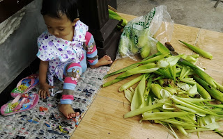 Kupas Jagung