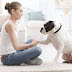 7 Effective Tips for Training Your Dog at Home