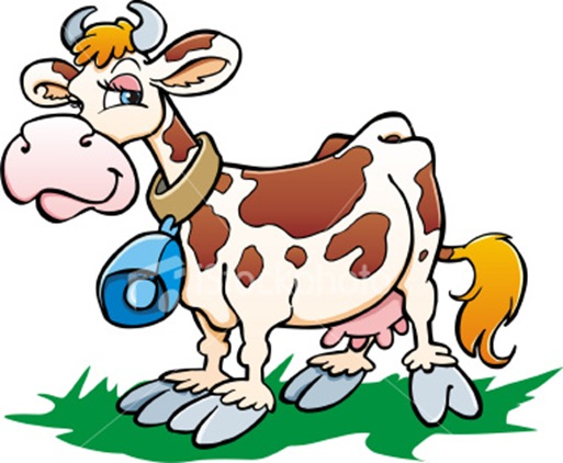 vaca