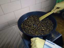 roasting-kopi-pic