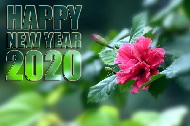 happy new year 2020 photo, wishes, greeting, 4k image,