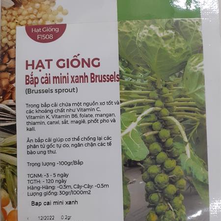 Hạt giống Bắp cải mini xanh Brussels