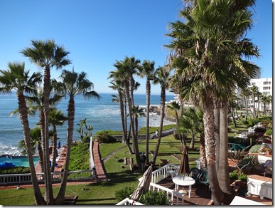 view
