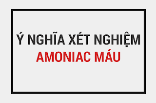 Ý nghĩa xét nghiệm amoniac máu, định lượng amoniac, nguyên nhân gây tăng amoniac máu, các yếu tố làm giảm amoniac máu, lợi ích của việc xét nghiệm amoniac NH3, Bệnh não gan và amoniac máu.