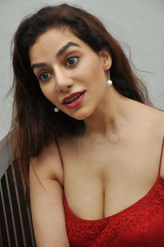  Surabhi Stills