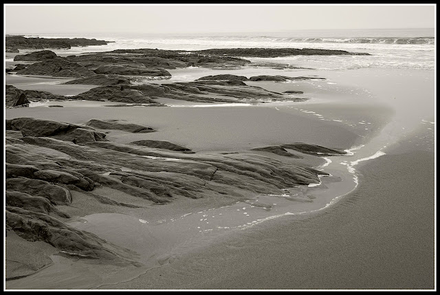 Risser's Beach; Fog; Atlantic Maritimes; Black and White